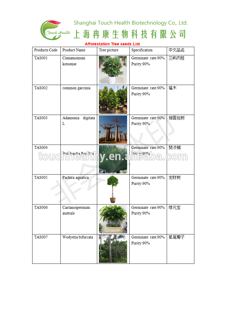 Garcinia spicata seeds/Garcinia spicata tree seeds for Afforestation tree