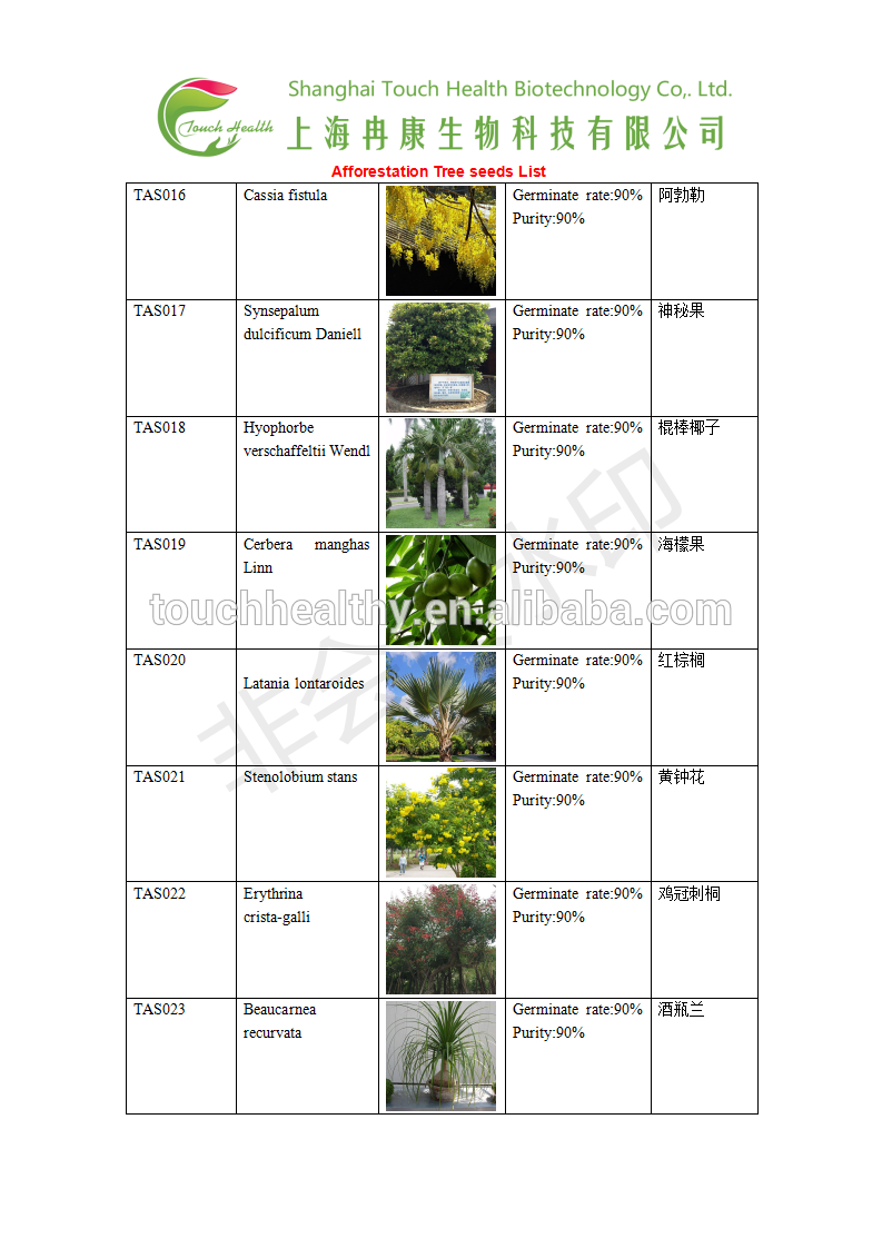Garcinia spicata seeds/Garcinia spicata tree seeds for Afforestation tree