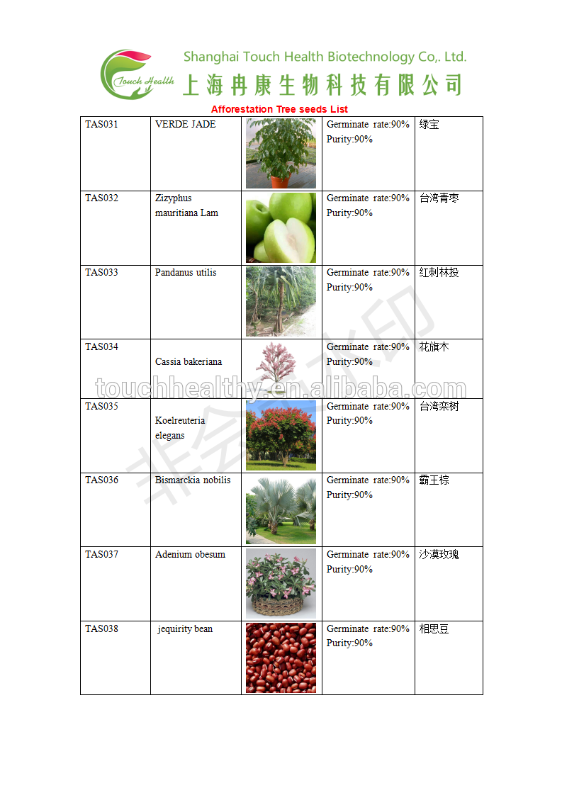 Garcinia spicata seeds/Garcinia spicata tree seeds for Afforestation tree