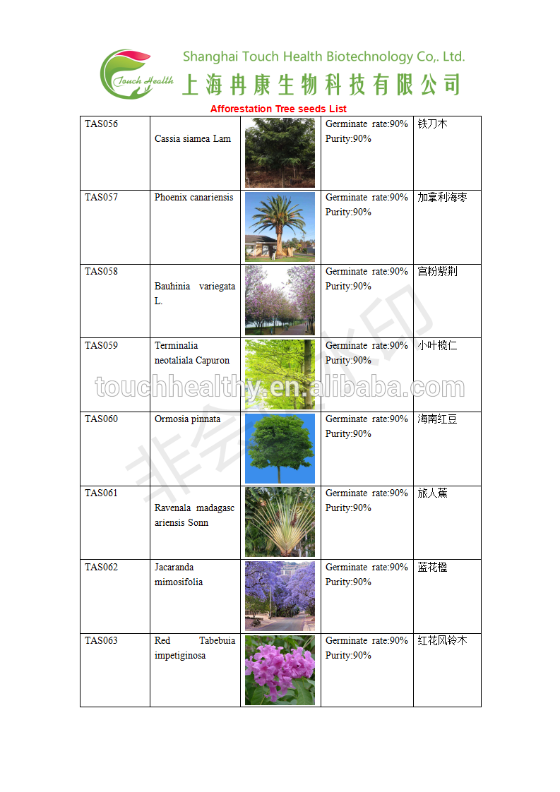 Garcinia spicata seeds/Garcinia spicata tree seeds for Afforestation tree