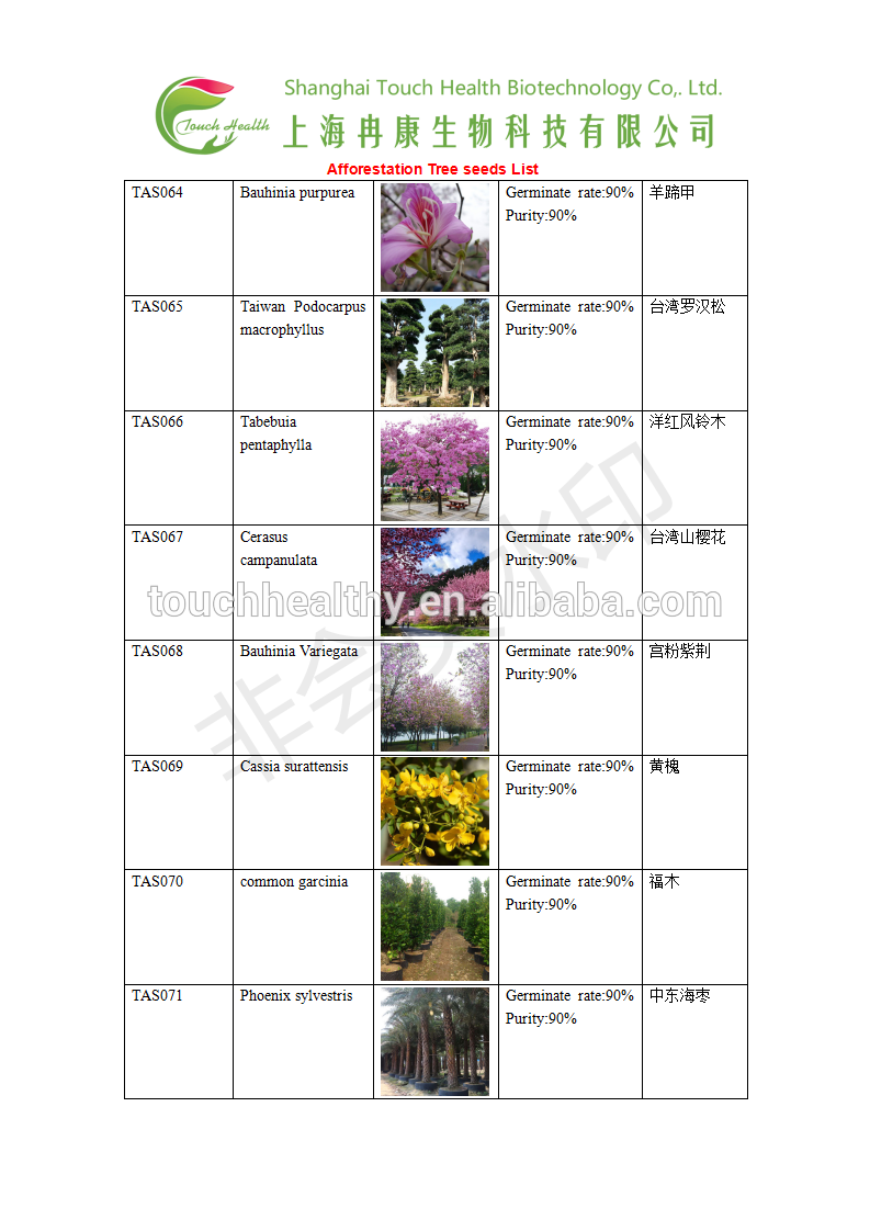 Garcinia spicata seeds/Garcinia spicata tree seeds for Afforestation tree