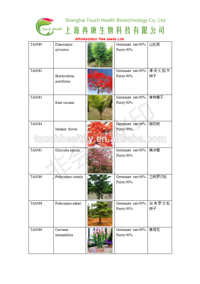 Garcinia spicata seeds/Garcinia spicata tree seeds for Afforestation tree
