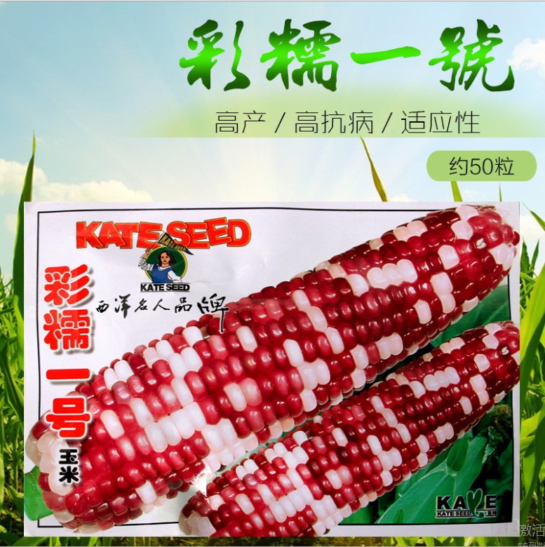 Touchhealthy Supply 86 Germination Rate Colour Sweet Corn Seeds Waxy Maize Seeds 50 Seeds Bags Products China Touchhealthy Supply 86 Germination Rate Colour Sweet Corn Seeds Waxy Maize Seeds 50 Seeds Bags Supplier