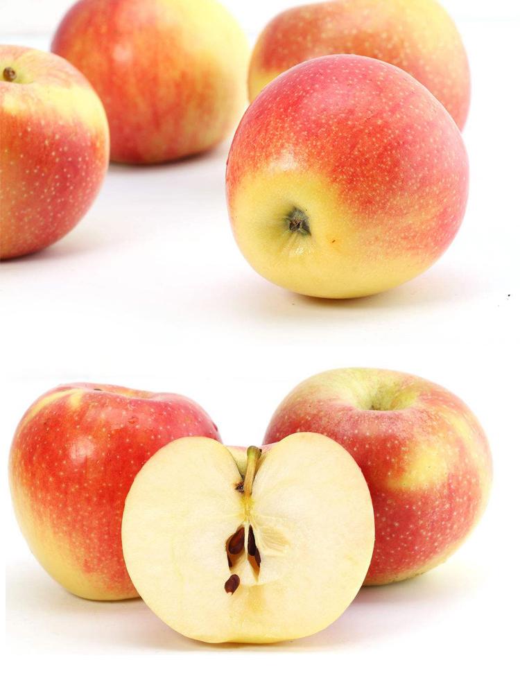 Search products_Manufacturer Price Top Quality Fresh Royal Fruit Gala Red  Delicious Sweet Apples from Uzbekistan 10 Kgs 18 Kgs Telescopic Cardboard  Boxes Atmosphere Protection