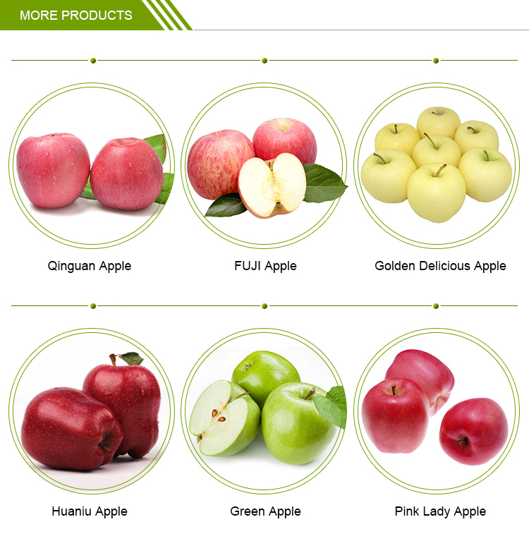 Search products_Manufacturer Price Top Quality Fresh Royal Fruit Gala Red  Delicious Sweet Apples from Uzbekistan 10 Kgs 18 Kgs Telescopic Cardboard  Boxes Atmosphere Protection