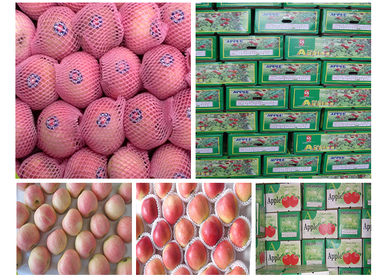 Search products_Manufacturer Price Top Quality Fresh Royal Fruit Gala Red  Delicious Sweet Apples from Uzbekistan 10 Kgs 18 Kgs Telescopic Cardboard  Boxes Atmosphere Protection