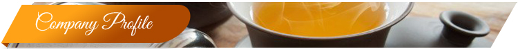 Zesta Ceylon Lose Leaf Masala Chai Tea Bag