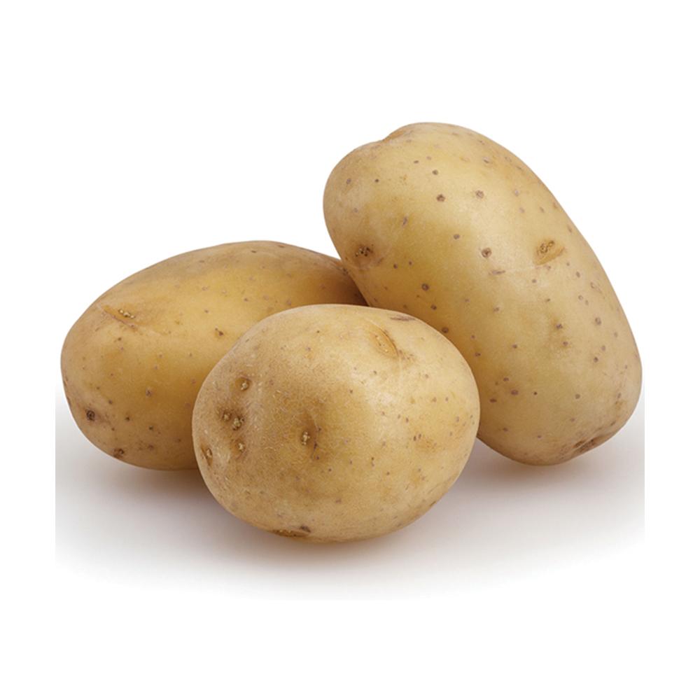 картошка сорт бриз фото