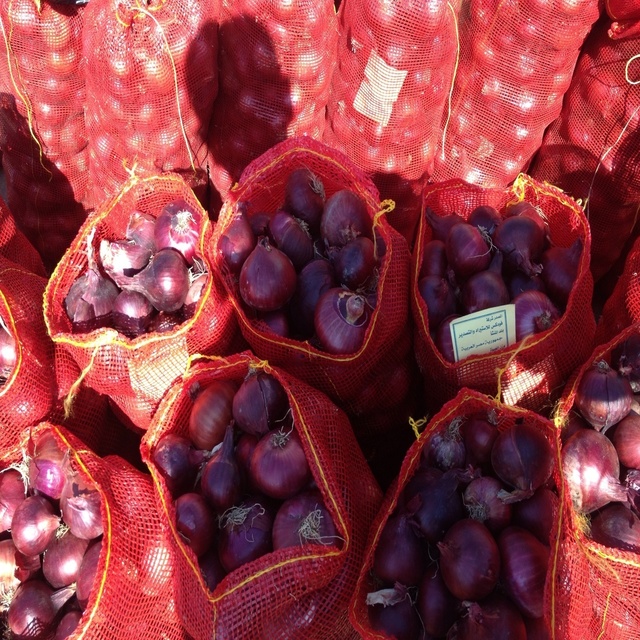 Fresh Onion With 50 up Size to India Market
