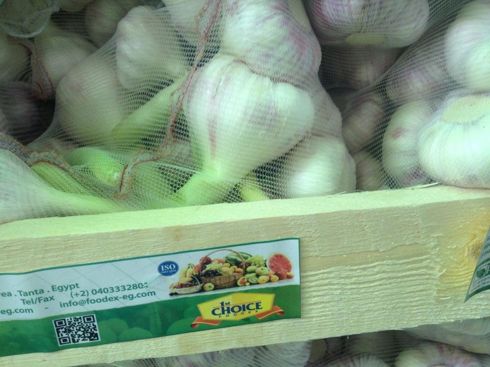 Liliaceous Vegetables Product Type and Fresh Style bulk garlic for sale