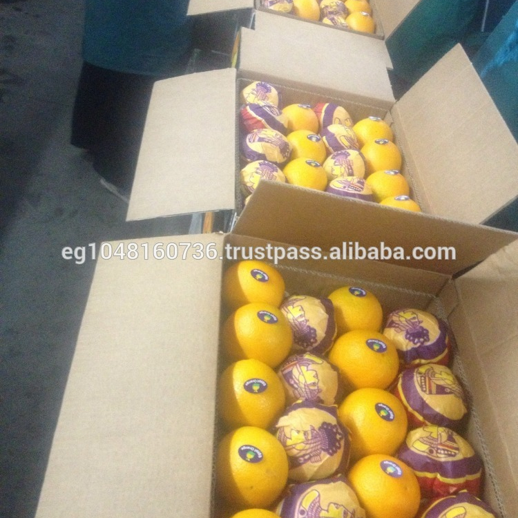 cuties oranges price cuties oranges price
