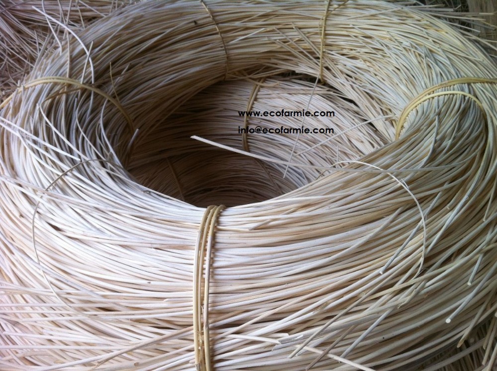 VIETNAM RAW RATTAN CORE/ WHITE RATTAN MATERIAL FOR WEBBING ...