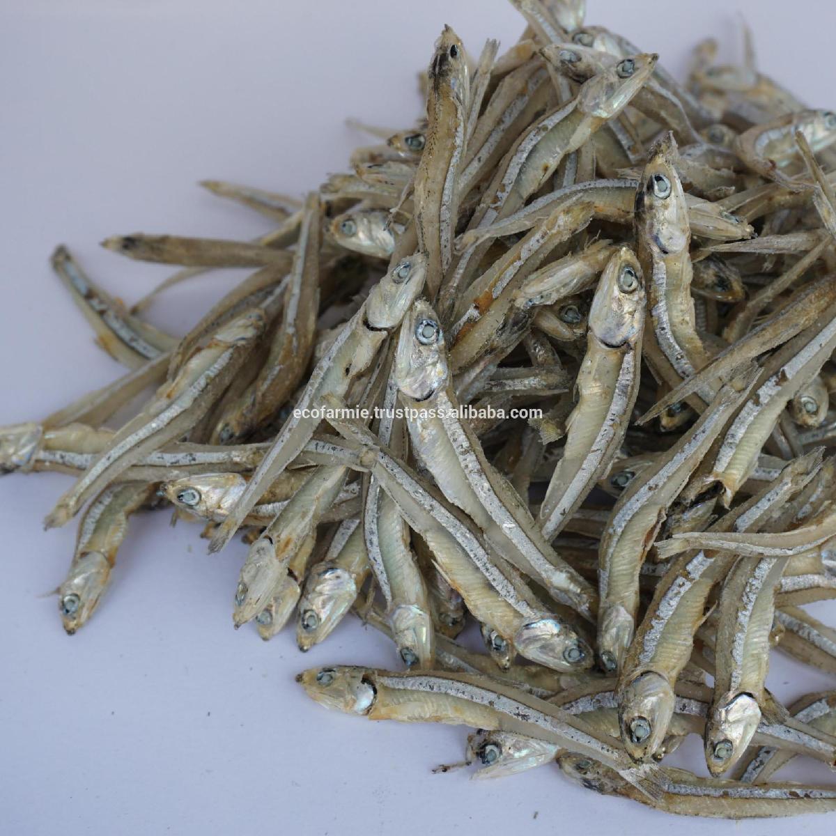 Fried dried crispy anchovy fish for export with high quality and cheap price