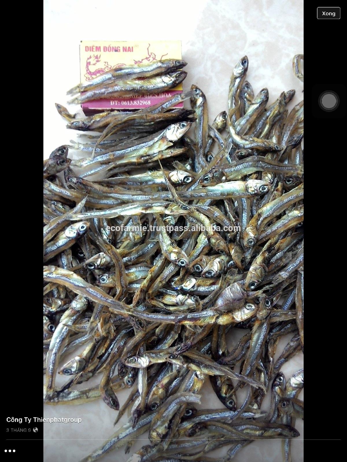 Fried dried crispy anchovy fish for export with high quality and cheap price