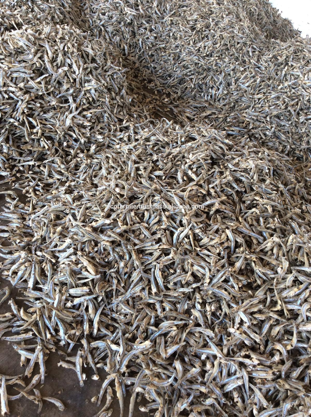 Fried dried crispy anchovy fish for export with high quality and cheap price