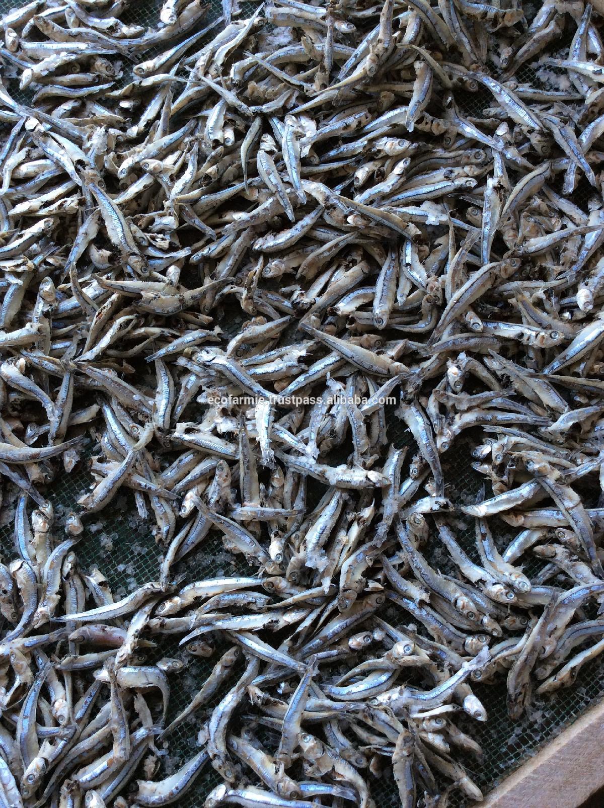 Fried dried crispy anchovy fish for export with high quality and cheap price