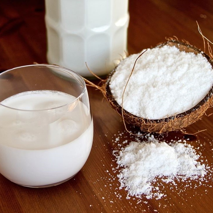 Organic instant soluble coconut milk powder bulk for making coconut