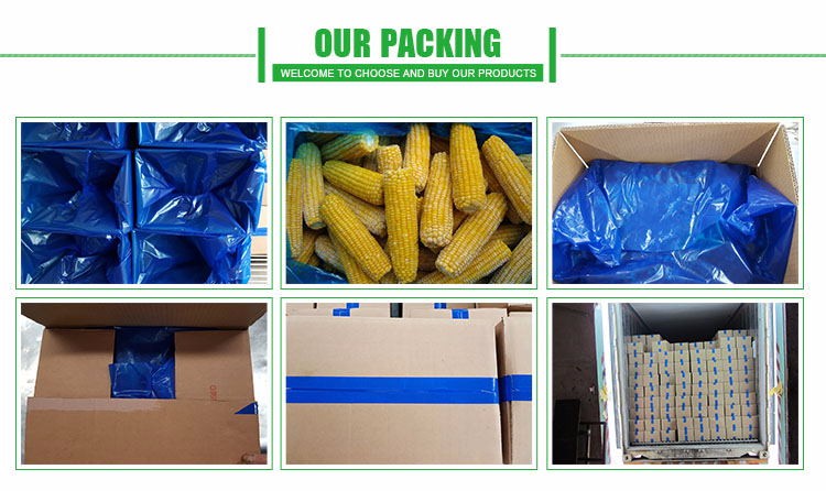 supply BRC certified new crop IQF frozen sweet corn cob cut kernels high quality hot sale