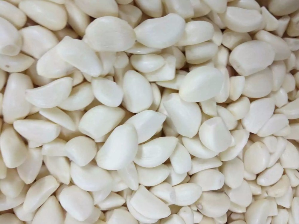 DSF China Best Fresh Natural Garlic Price - New crop Hot sales