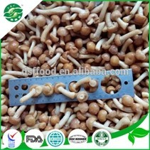 DSF White Frozen champignon mushroom slice with cheap price