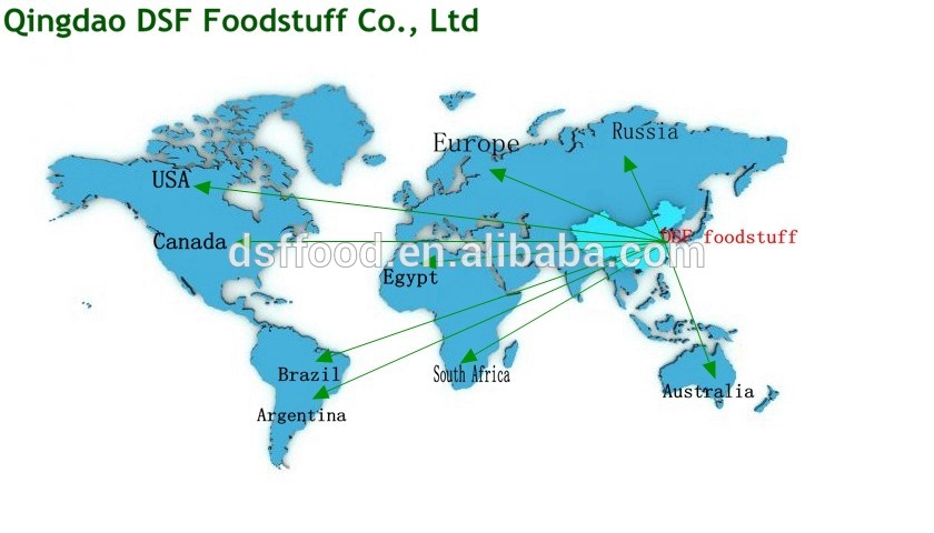 DSF White Frozen champignon mushroom slice with cheap price