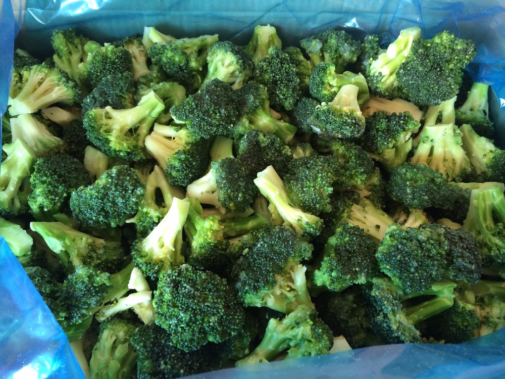 DSF Supply good quality Frozen broccoli hot sale new products