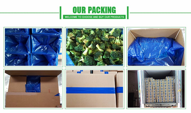 DSF Supply good quality Frozen broccoli hot sale new products