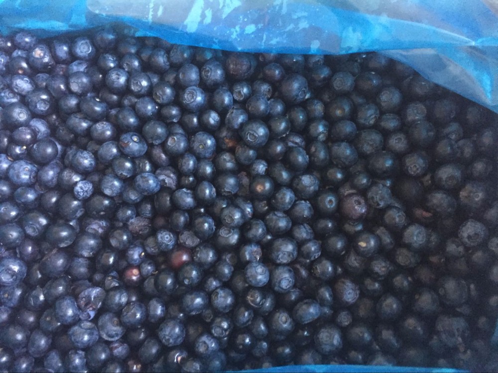 DSF Factory prices natural organic frozen blueberry