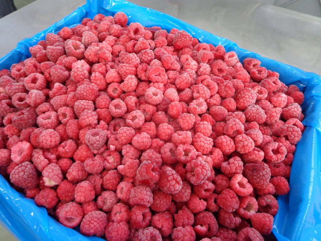 hot selling frozen raspberry with lowest price