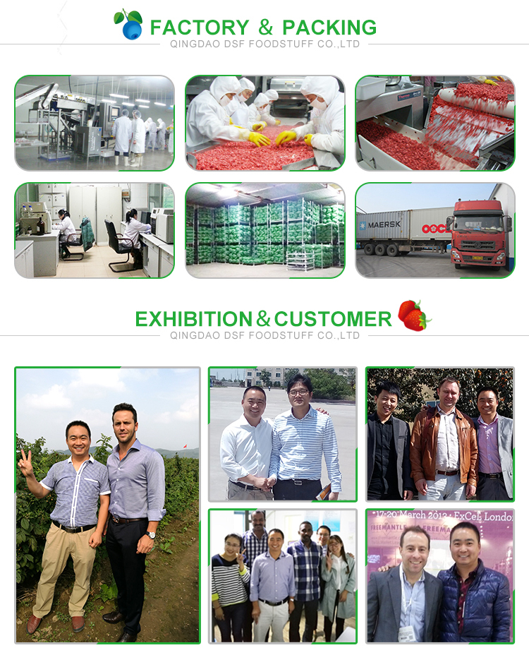 supply BRC certified IQF frozen mix pepper/ frozen red green yellow pepper dice / frozen green pepper strip good quality