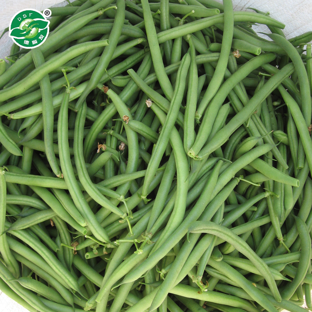 IQF Frozen Green Beans With Good Quality And Hot Price,China Price ...