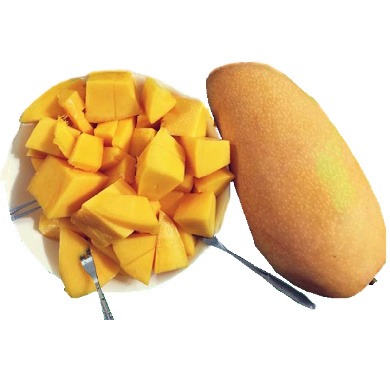 Dsf Good Quality Frozen Fruit Cheap Frozen Iqf Mango Dice China Price