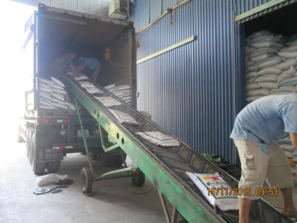 gold vietnam grain supplier cheapest sushi 5% Broken jasmine Rice
