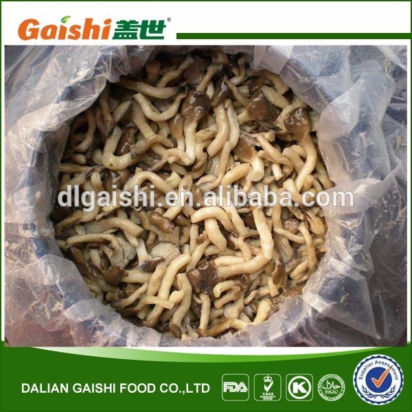 Pleurotus Cornucopiae/Shimeji Mushroom in brine in drum