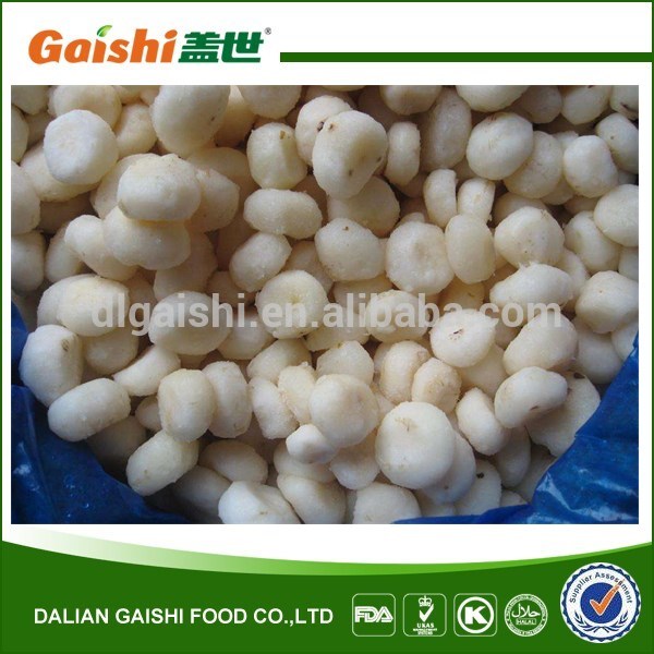 IQF frozen water chestnut whole,China price supplier - 21food