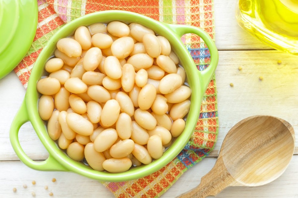 White beans in can 24 x 400 grams,Italy price supplier 21food