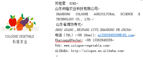 fresh normal white garlic,purple garlic price in china-hot sales