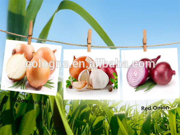 cheap price and good quality fresh vegetables wholesale onion