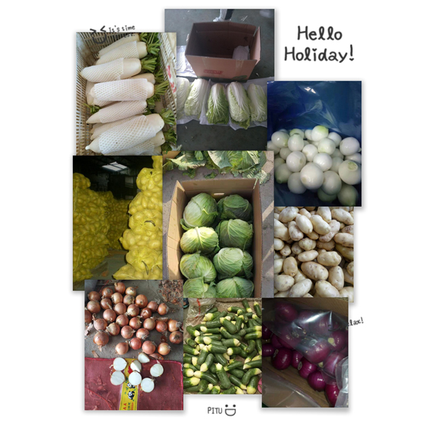 Wholesale High Quality new Crop Fresh Cabbage