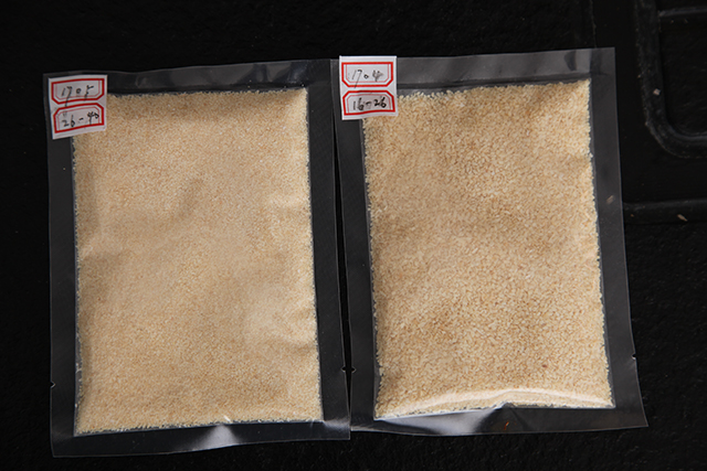 New Dehydrate Dried Garlic granules