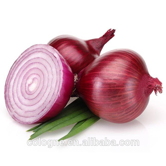 Best selling fresh onion with competitive price