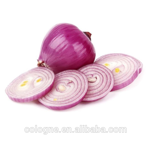 Best selling fresh onion with competitive price