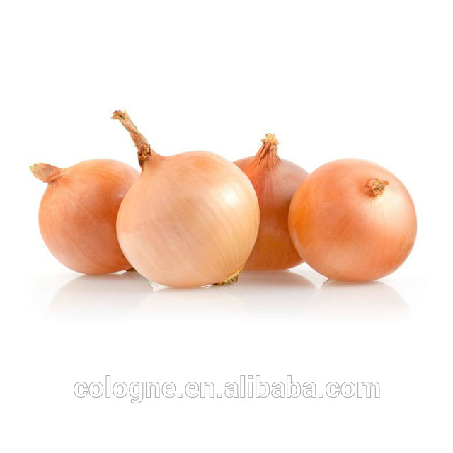 Best selling fresh onion with competitive price