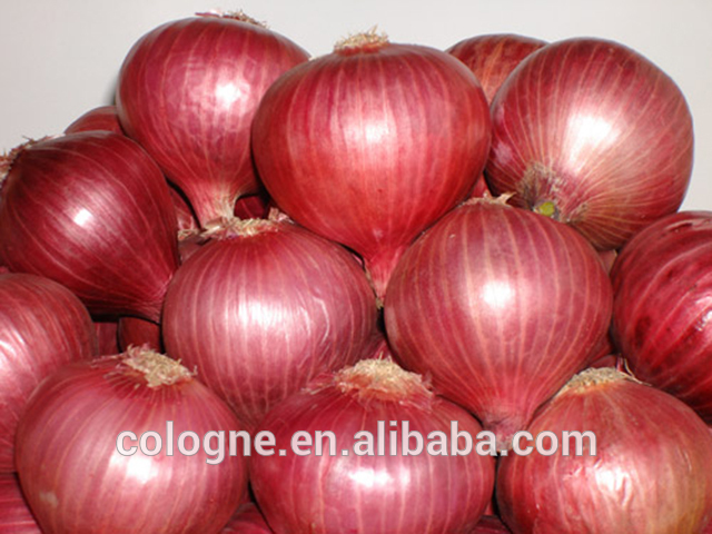 Farm Lowest Price Fresh Red Onion and Yellow Onion 25kg