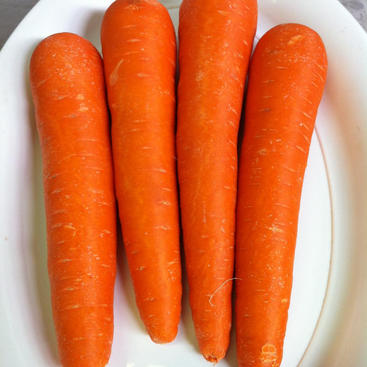 Red fresh carrots for sale with a low price