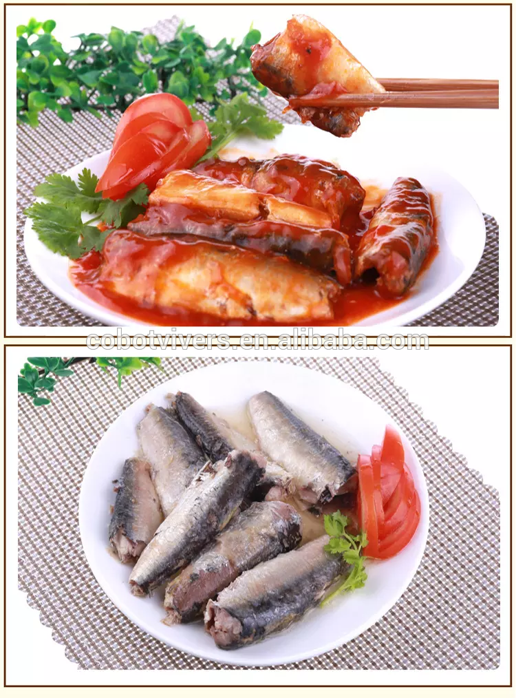 HACCP approved factory sardine types of canned fish in tomato sauce oil brine