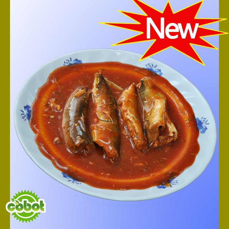 types of canned fish supplier from china
