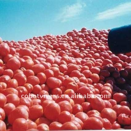 chinese type of canned fish foods products