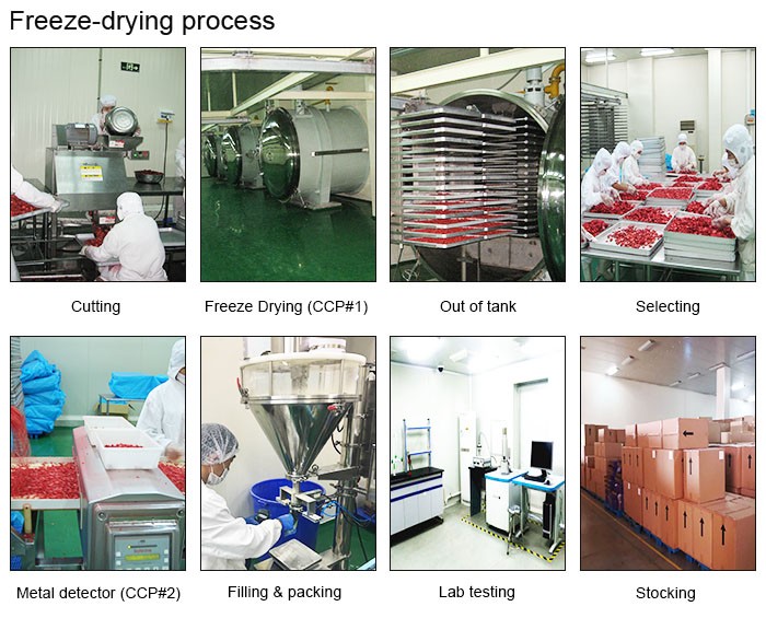 Wholesaler of dry fruit maker freeze dried banana chips processing