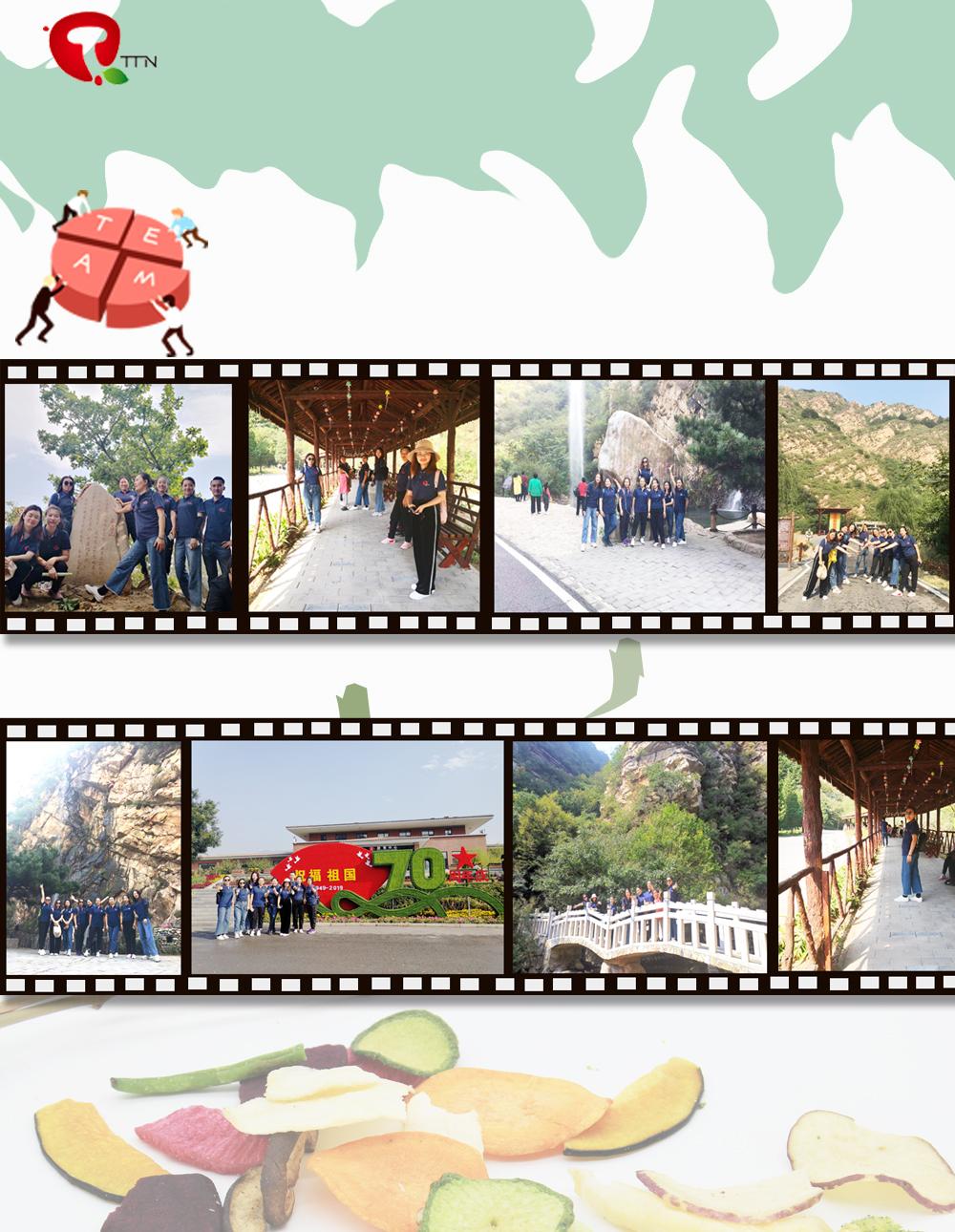 Wholesaler of dry fruit maker freeze dried banana chips processing